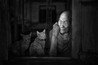 387 - CAT AND OLD MONK - SOU SU FU - macao <div
